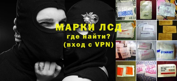 стаф Алексин
