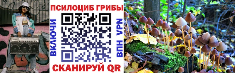 Галлюциногенные грибы Psilocybine cubensis Луза
